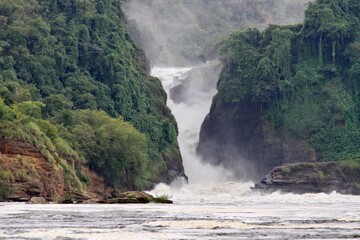 Nile river create a beautiful waterfall in Murchison National park, Uganda 