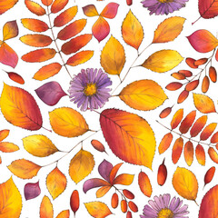 Autumn Watercolor Seamless Pattern with fall leaves, aster flowers, branches of berberries on white background. Hand-drawn dense endless illustration for textile, wallpapers, fabric and wrapping paper