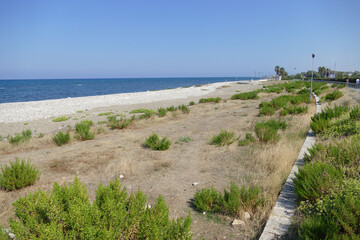 Scorcio di natura selvaggia sulla Costa Adriatica del Sud Italia