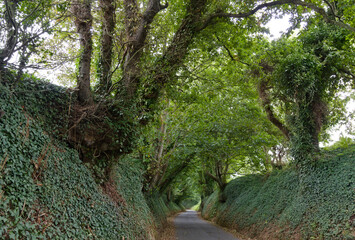 enchanted alley - Jersey - Great Britain