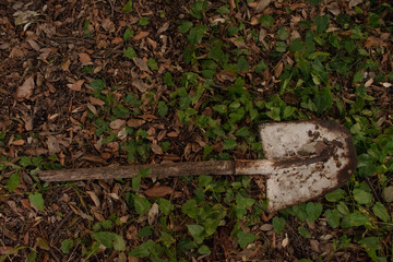 shovel in the woods