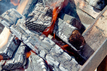 Burnt wood is lying in the fire