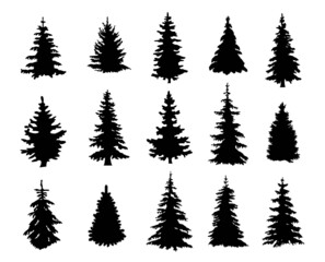 Silhouettes of realistic pine trees - obrazy, fototapety, plakaty