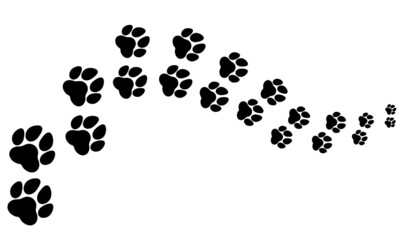 road and trail of dog tracks moving away
animal footprint pattern, footprint silhouette, puppy, cards, patterns