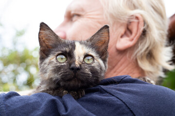 A kitten with a strip on the nose on the shoulder of an adult man. Love for pets