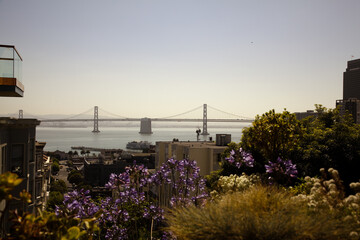 San Francisco © Przemysław