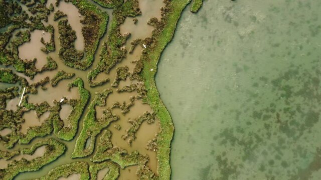 Top down view of scenic green wetland with complex pattern of intermediate ridges and peat bog pools.