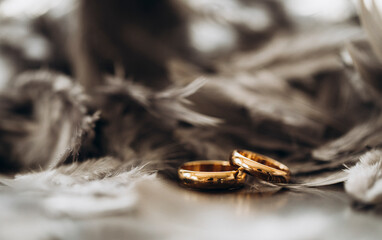 Wedding rings. Love photo. Ring. Gold. Love. 