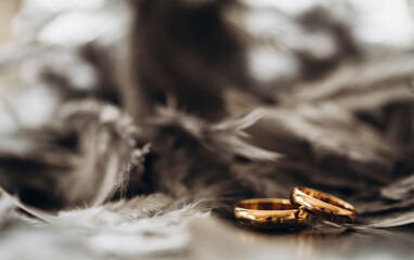 Love concept. Wedding rings. Love photo. Golden ring.