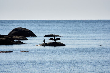 Fototapeta premium Isles of Scilly, England, August 2021