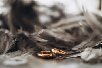 Fototapeta premium Wedding ring. Love concept. Ring. 