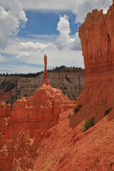 Bryce Canyon Stany Zjednoczone - obrazy, fototapety, plakaty