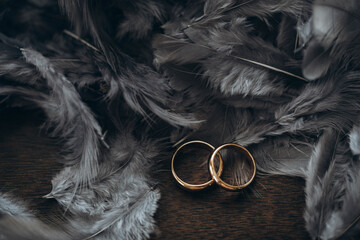 Wedding day. Wedding rings. Love concept. 