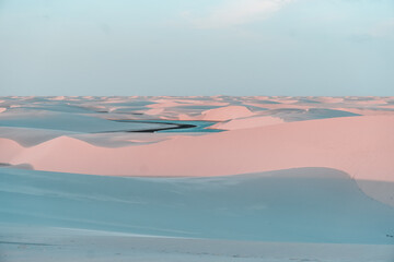 Beautiful view of a desert with sand dunes in the sunlight