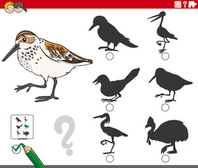 Obraz premium shadows game with cartoon western sandpiper bird
