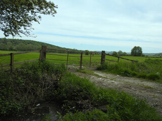 View of the farmland