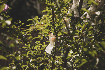 bird on tree
