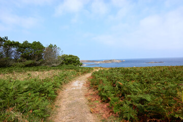 Obraz premium Isles of Scilly, England, August 2021
