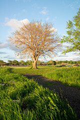Obraz premium Iowa Big Creek Lake State Park Sunset