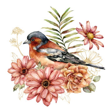 recommend clip art: Watercolor autumn composition of gold aster, rose and chaffinch. Hand painted meadow linear flowers and bird isolated on white background. Floral illustration for design, print, fabric or background.