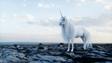standing white magical unicorn in rocks. Realistic 4k animation.