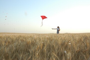 Golden wheat fields
