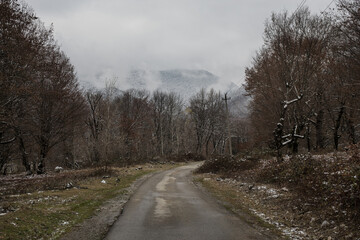 Landscape with beautiful fog in forest on hill or Trail through a mysterious winter forest with autumn leaves on the ground. Road through a winter forest. Magical atmosphere. Azerbaijan nature