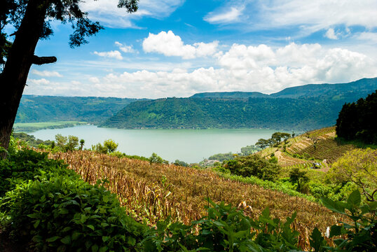 Panoramic view of rural area in Guatemala, corn cultivation, deforested area for agriculture, climate change.