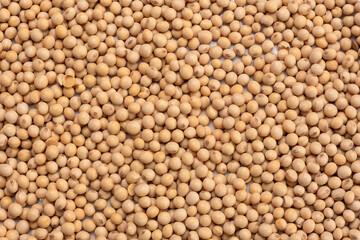 soybean seeds for a healthy diet