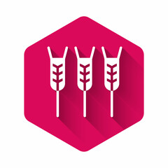 White Cereals set with rice, wheat, corn, oats, rye, barley icon isolated with long shadow. Ears of wheat bread symbols. Pink hexagon button. Vector