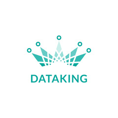 Data king logo design
