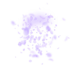Violet flower petals falling down. Magnetic romant