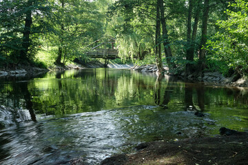 river in the park