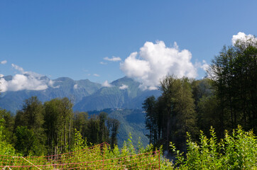 Mountain view in summer on a sunny day with clouds in the sky