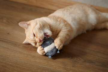 A red cat is playing with a toy mouse.