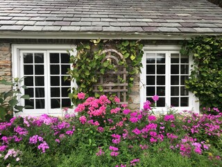 Fototapeta na wymiar Cottage Garden