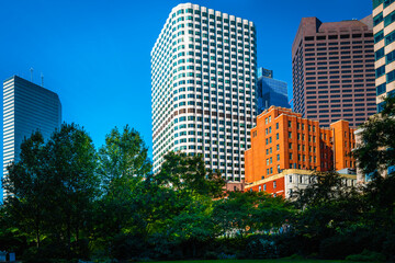 Boston cityscape with modern buildings rising high above green trees in the park on blue sky background