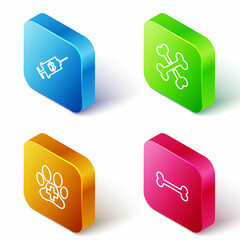 Set Isometric line Syringe with pet vaccine, Crossed bones, Veterinary clinic and Dog icon. Vector
