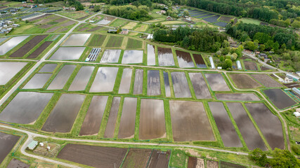 Freshly filled paddy fields on a gentle slope D