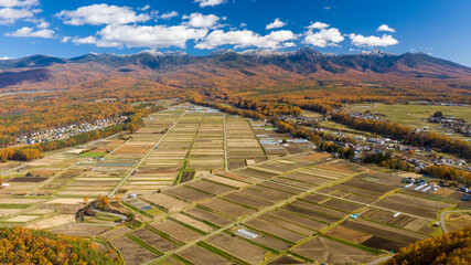 Coniferous forests and paddy fields at the foot of snow-capped mountains D