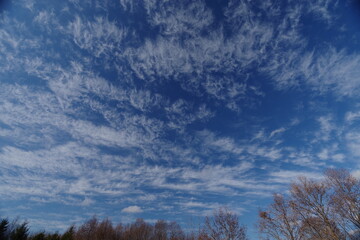 Obraz na płótnie Canvas Spotted clouds over the blue sky