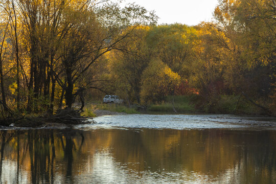 autumn in the park
