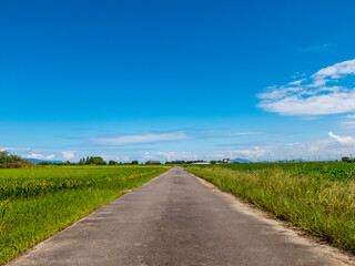 秋晴れの田園散策