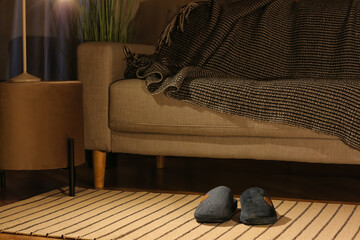 Male soft slippers on rug near sofa at home