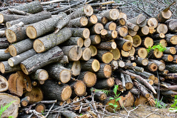 A pile of stacked firewood, prepared for heating the house, chopped on a stack and prepared for...