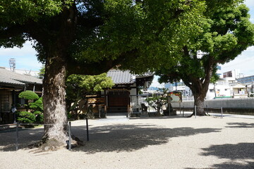 日本の神社の境内