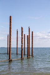 The beautiful Danish beach