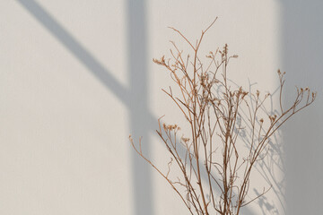 Dried white statice flower with a window shade on a white wall