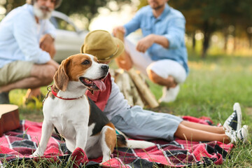 Happy family with cute dog at picnic outdoors