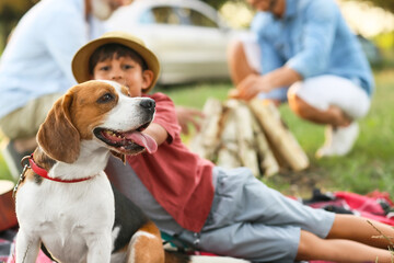 Little boy with cute dog and his family at picnic outdoors